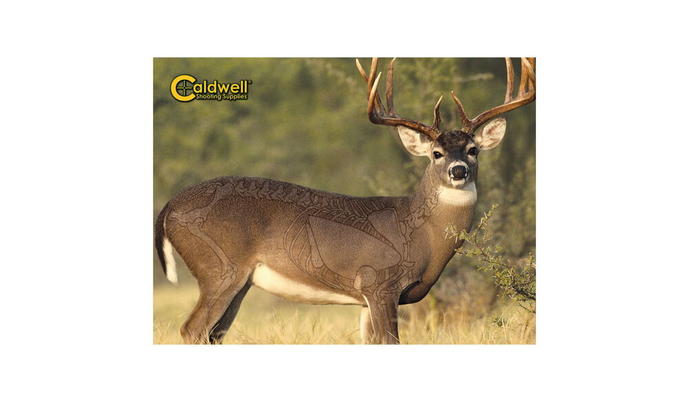 "The Natural Series" Whitetail Deer Target