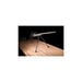 XLA Bipod