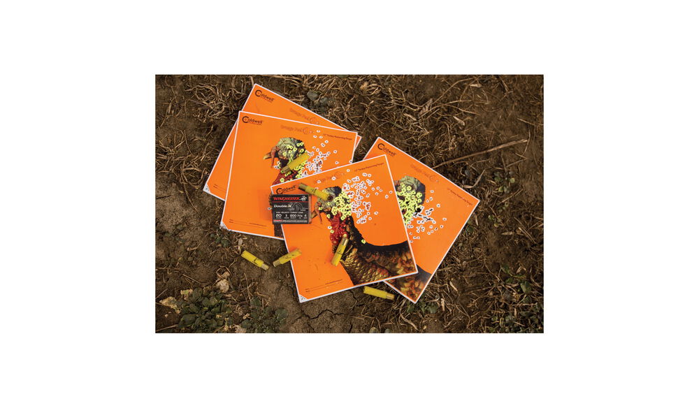 Orange Peel Turkey Target: 12" 5 sheets