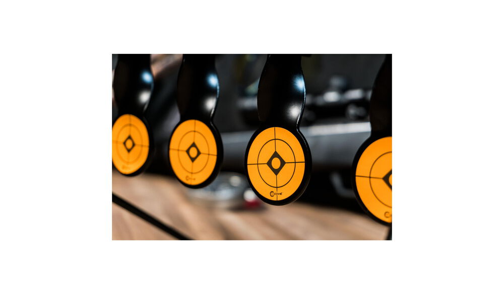 Rimfire Resetting Target