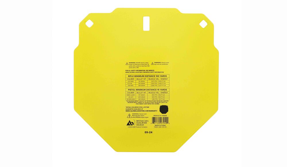AR500 13" Octagon
