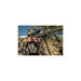 13"-30" Accumax® Premium Carbon Fiber Bipod Sling Swivel Stud Attachment
