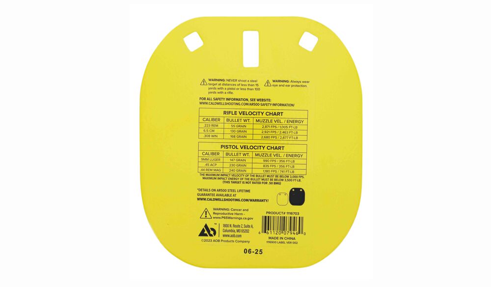 AR500 8" Caldwell C