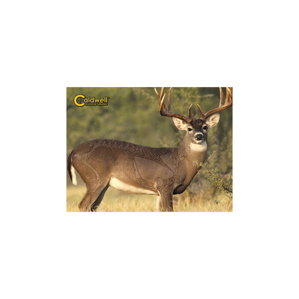 "The Natural Series" Whitetail Deer Target