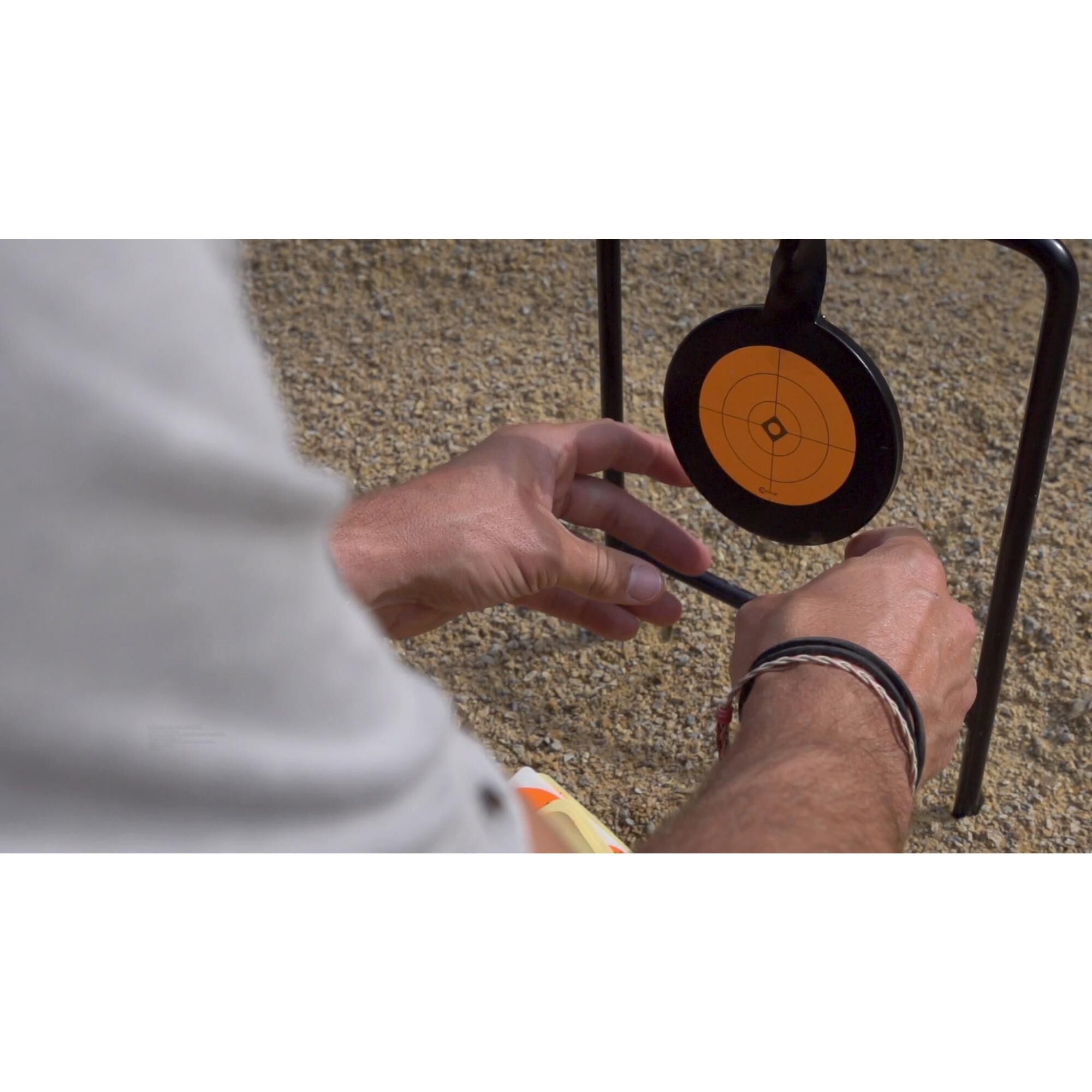 rangemaxx rimfire triple spinner target